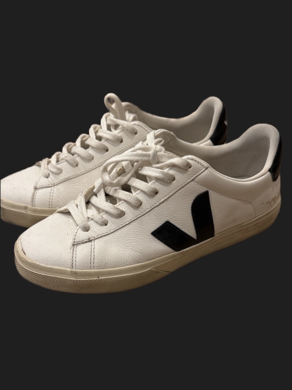 Veja Cream and Black Casual Sneakers